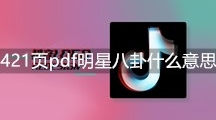 421页pdf明星八卦什么意思