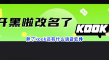 除了kook还有什么语音软件？和kook类似的软件介绍