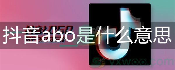 抖音abo是什么意思