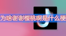 《抖音》为啥谢谢樱桃啊是什么梗