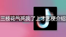 《抖音》三枝花气死我了上才艺梗介绍