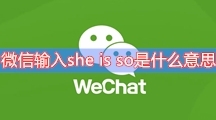 微信输入she is so是什么意思