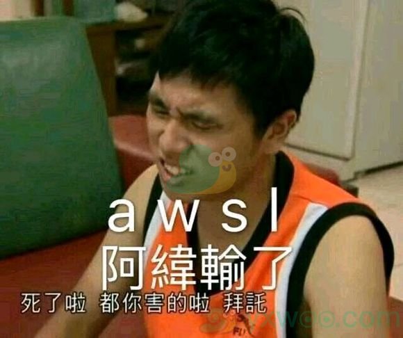 b站awsl是什么梗