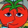 Mister Tomato番茄先生最新版