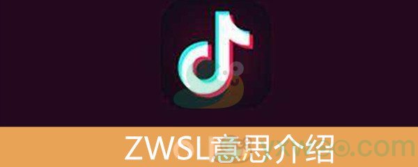 《抖音》ZWSL意思介绍