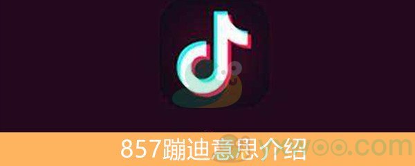 《抖音》857蹦迪意思介绍