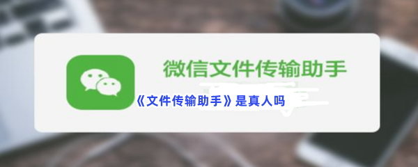 《文件传输助手》是真人吗？详细功能介绍给大家！