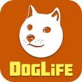 Doglife最新安卓版