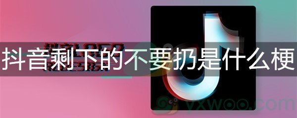 抖音剩下的不要扔是什么梗