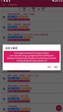 Pubg Pic安卓版截图1