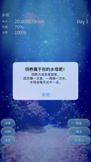 养育水母的治愈安卓版截图2