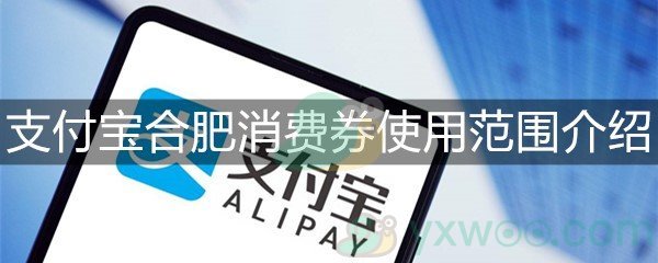 支付宝合肥消费券使用范围介绍