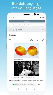 Kiwi浏览器中文最新版截图2