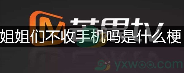 姐姐们不收手机吗是什么梗