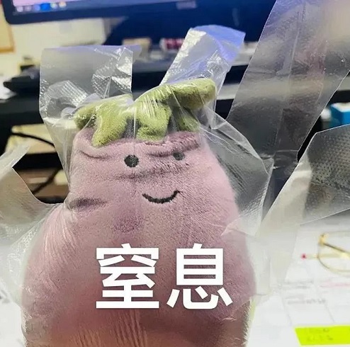 最近很火的jellycat网红茄子表情包