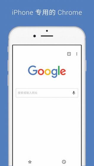 Google浏览器手机版截图1