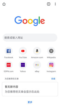 谷歌浏览器手机版截图1