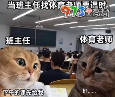 《抖音》猫猫对话梗的意思介绍