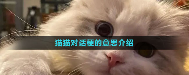 《抖音》猫猫对话梗的意思介绍