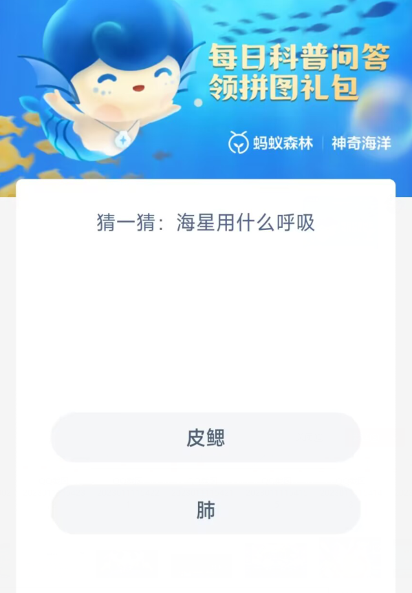 《支付宝》神奇海洋1月12日答案分享