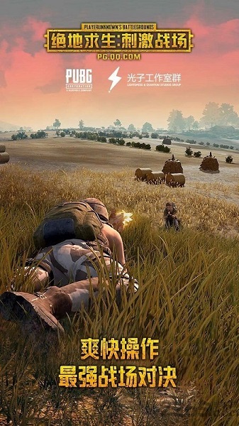 绝地求生Pubg Mobile国际服中文版免费版截图2