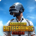 Pubgm正式版