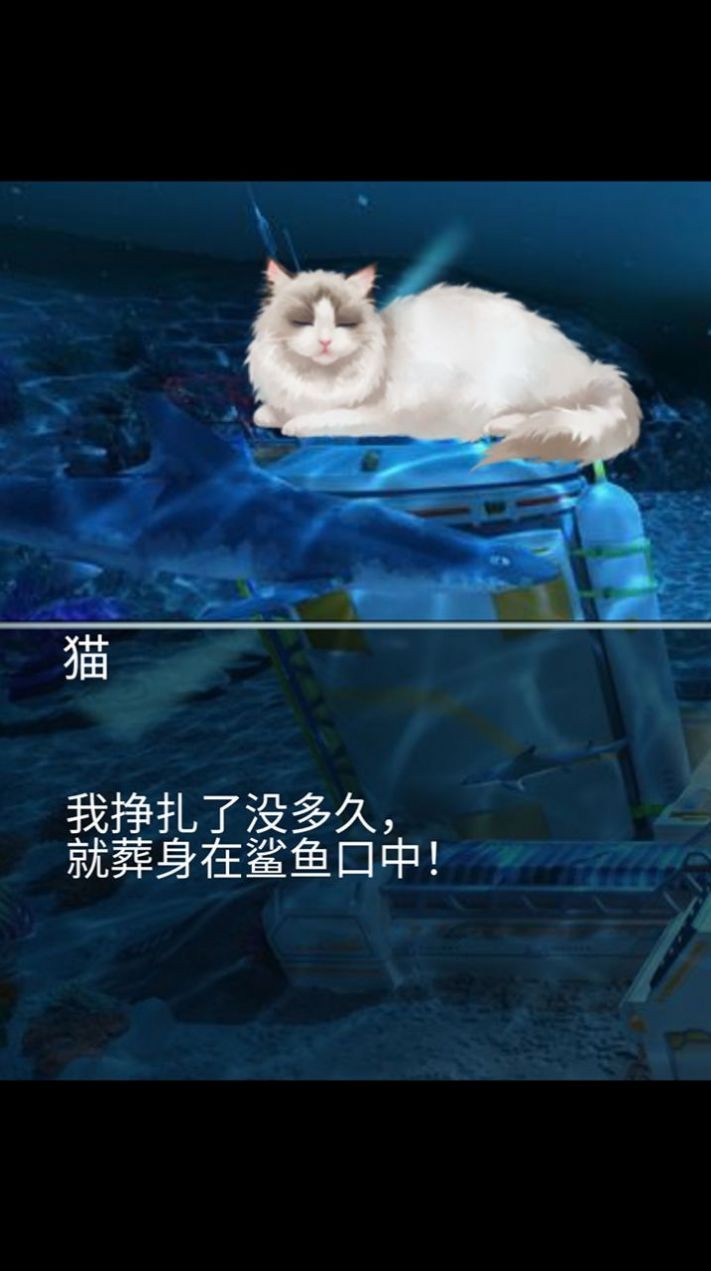 猫生煎熬官方版截图3