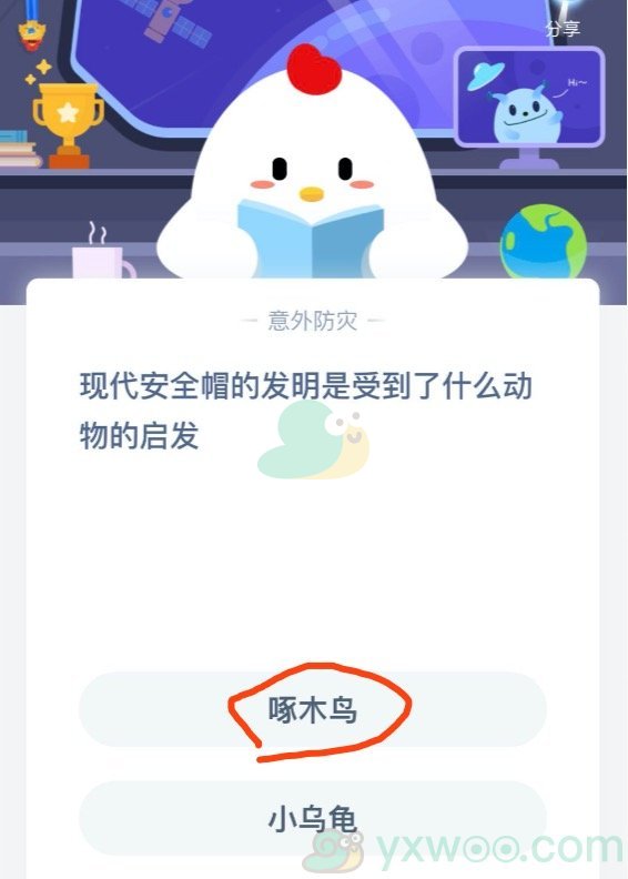 现代安全帽的发明是受到了什么动物的启发？