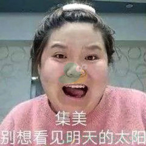 集美是什么意思