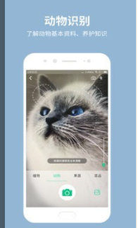 拍照识花宝安卓版截图4