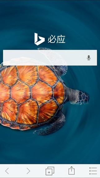 微软必应浏览器国际版免费分享截图3