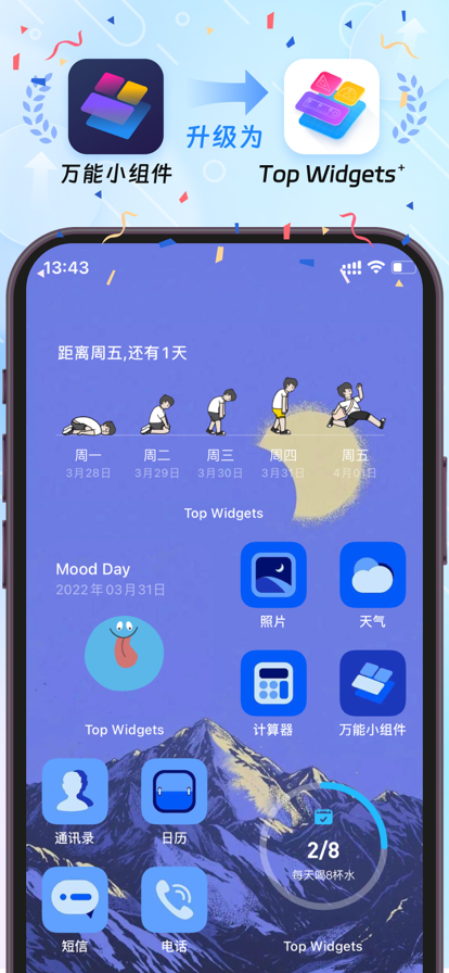 Top Widgets官方版截图1