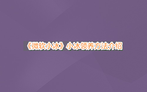 《微软小冰》小冰领养方法介绍