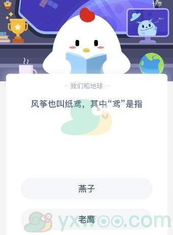 风筝也叫纸鸢其中鸢是指？