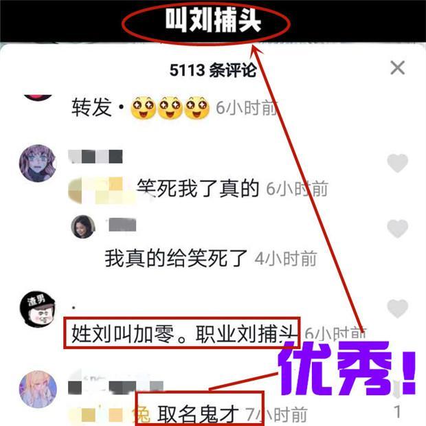 《抖音》刘捕头和刘加零是什么梗