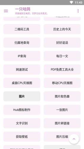 一只咕鸽官方版截图3