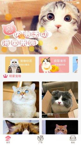 猫咪社区安卓版截图4