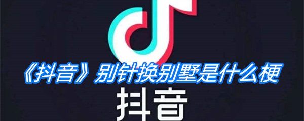 《抖音》别针换别墅是什么梗