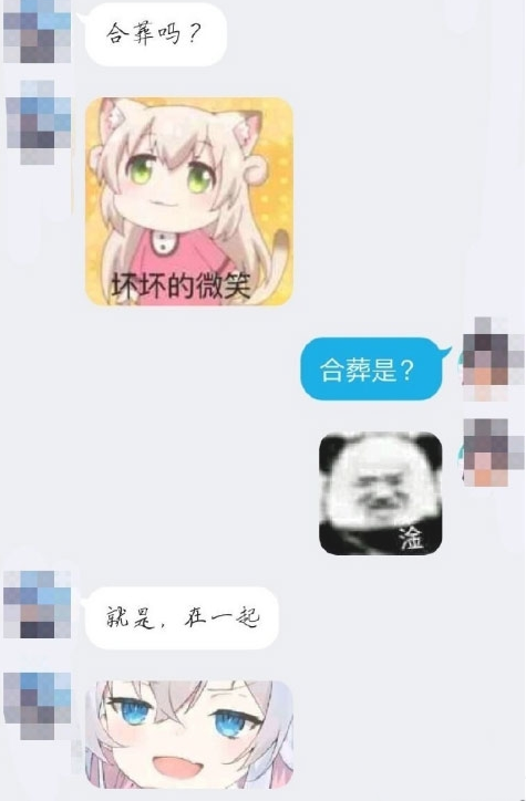 《抖音》小姐姐合葬吗是什么梗