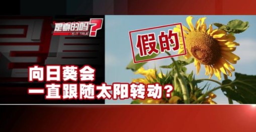 《支付宝》8月18日每日一题答案