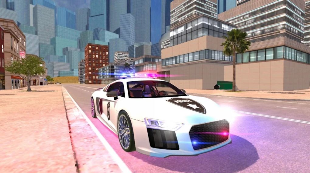 R8警察模拟器赛车越野竞速手机版截图1