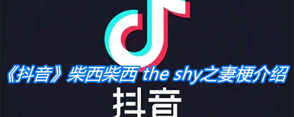 《抖音》柴西柴西 the shy之妻梗介绍