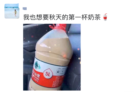 《抖音》秋天的第一杯奶茶文案分享