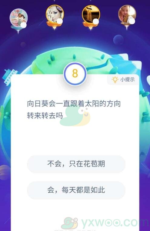 向日葵会一直跟着太阳的方向转来转去吗？