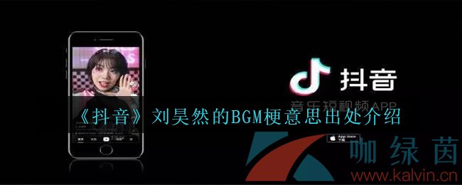 《抖音》刘昊然的BGM梗意思出处介绍