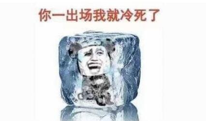 这天冷的把我的气质都冻没了表情包图片完整版截图4