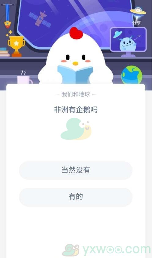 非洲有企鹅吗？