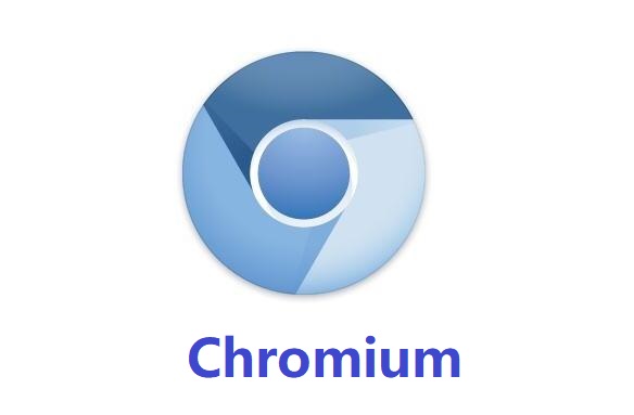 Chromium浏览器安卓版截图1