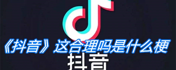 《抖音》这合理吗是什么梗