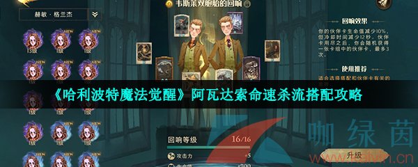 《哈利波特魔法觉醒》阿瓦达索命速杀流搭配攻略